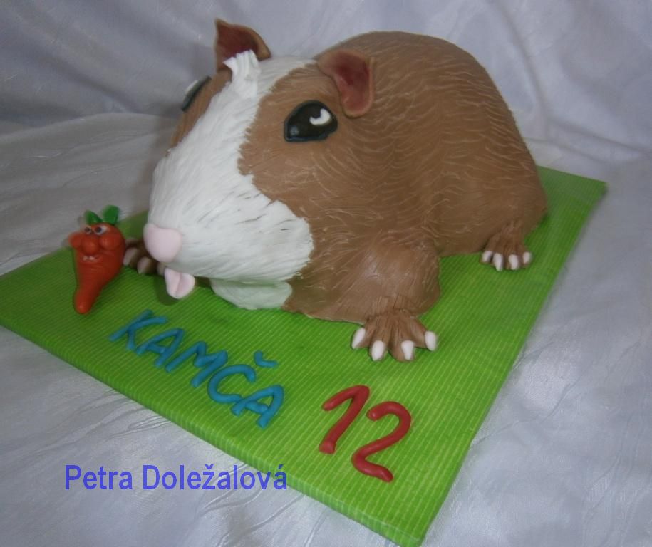 morče 2
